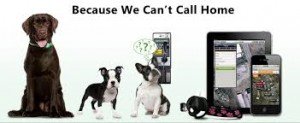 GPS Pet Tracker